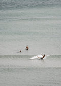 Test Image Three