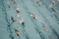 Test Image One (Copy)
