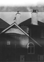 tassie on film