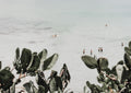 Test image six